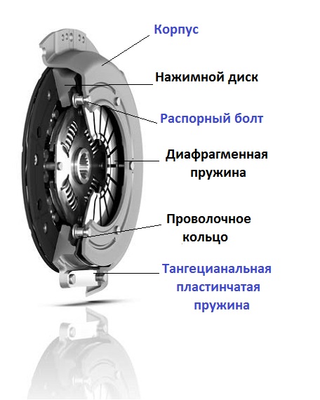 sceplenie najimnogo tipa