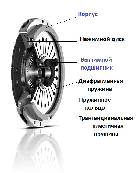 sceplenie vitayjnogo tipa